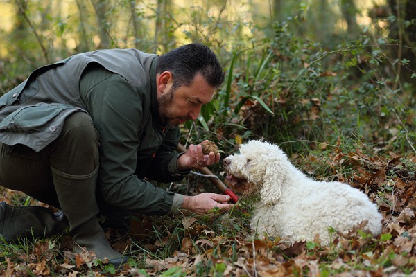 Il Bego truffle foraging and tasting experience in San Miniato Tuscany