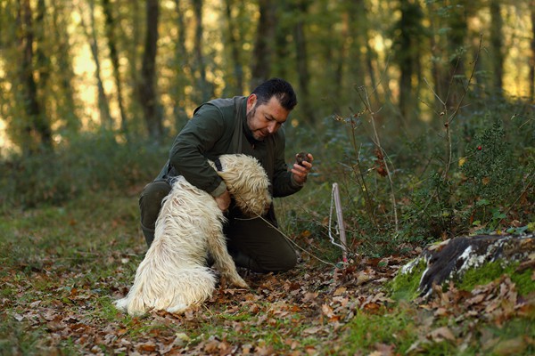 Il Bego truffle foraging and tasting experience in San Miniato Tuscany